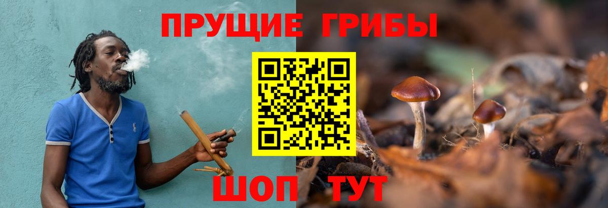 Псилоцибиновые грибы мухоморы Гусиноозёрск